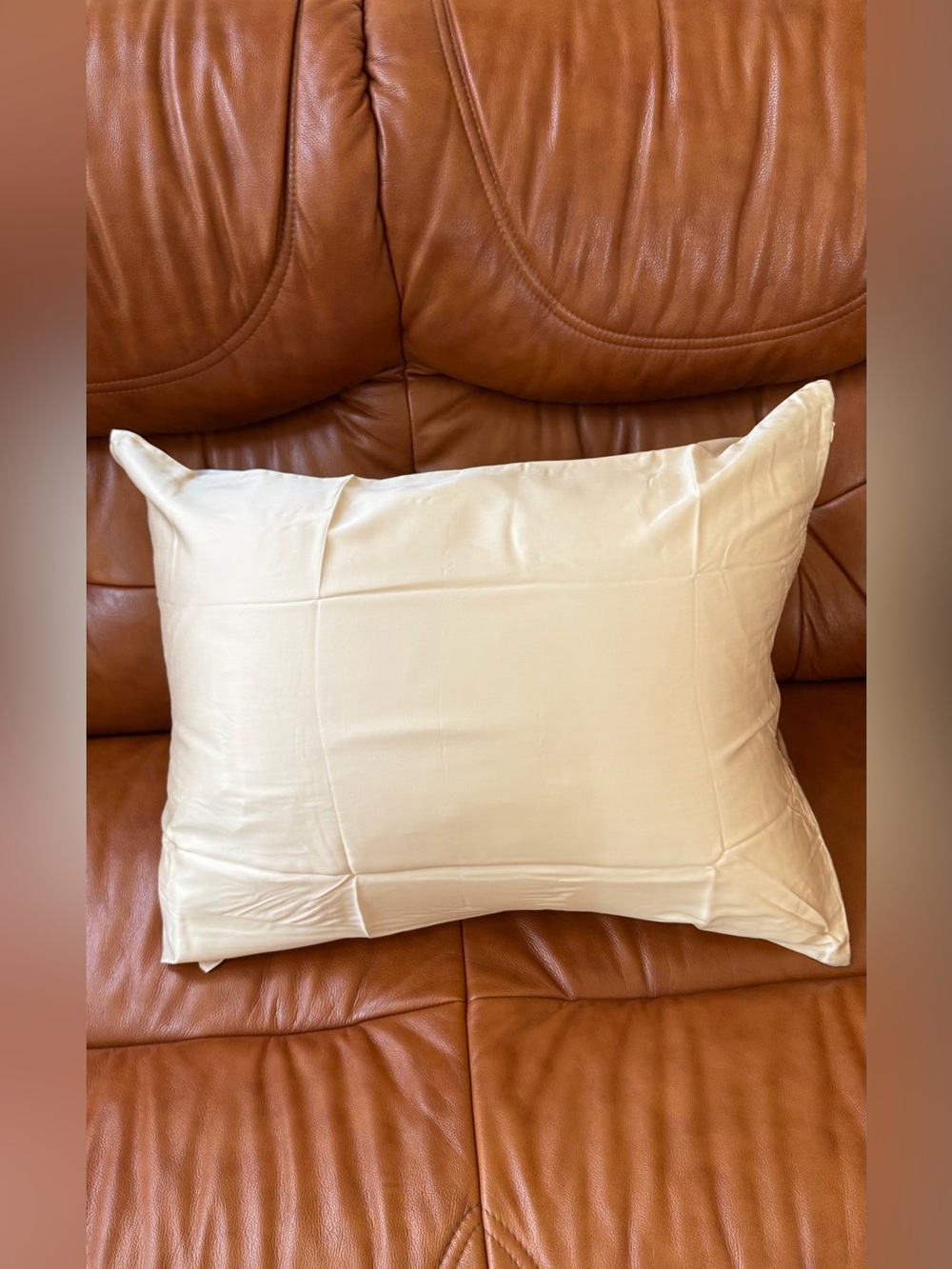 NWB 2 Pack Standard Silky Pillow Cases